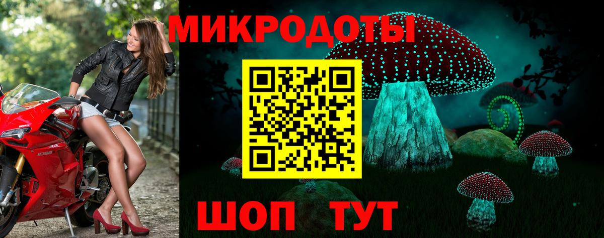 Псилоцибиновые грибы GOLDEN TEACHER Новосибирск