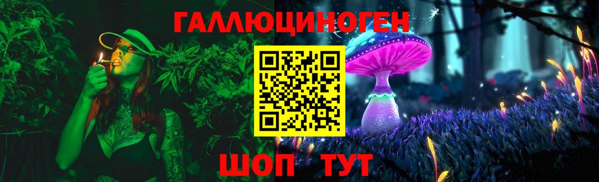 Псилоцибиновые грибы мухоморы  Вход с VPN  Псилоцибиновые грибы Cubensis  Новосибирск 